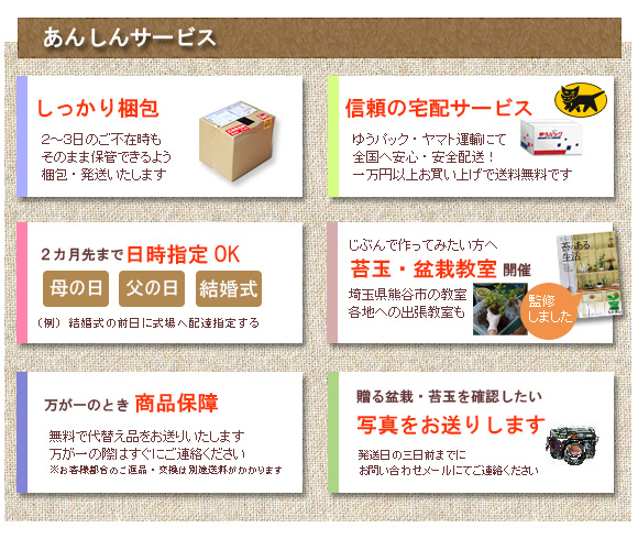 安心サービス