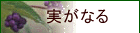 �¤��ʤ�