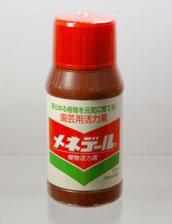 ��ͥǡ��룱�������졡�ᥤ��