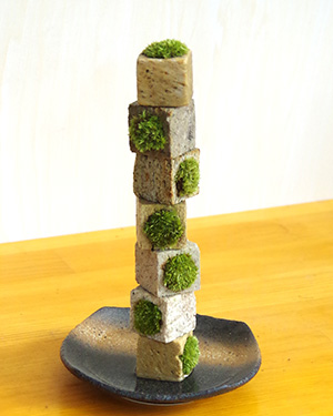 苔キューブ