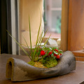 ������ƥꥢ�δ��ޤ����ߺϡ��ᥤ��