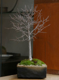 ���䥭�ߺ�20100202 m