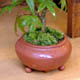 小さな植木鉢屋