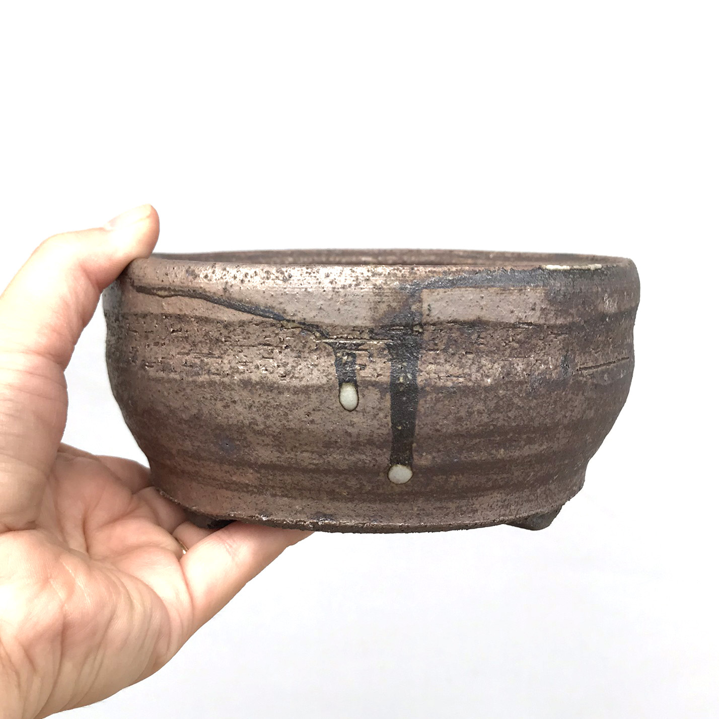 盆栽キット