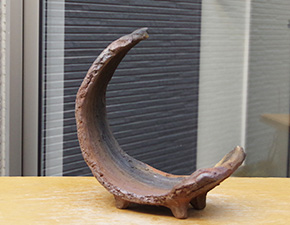 長寿梅の盆栽