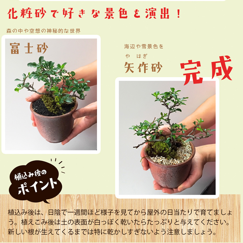 盆栽 植え替えセット