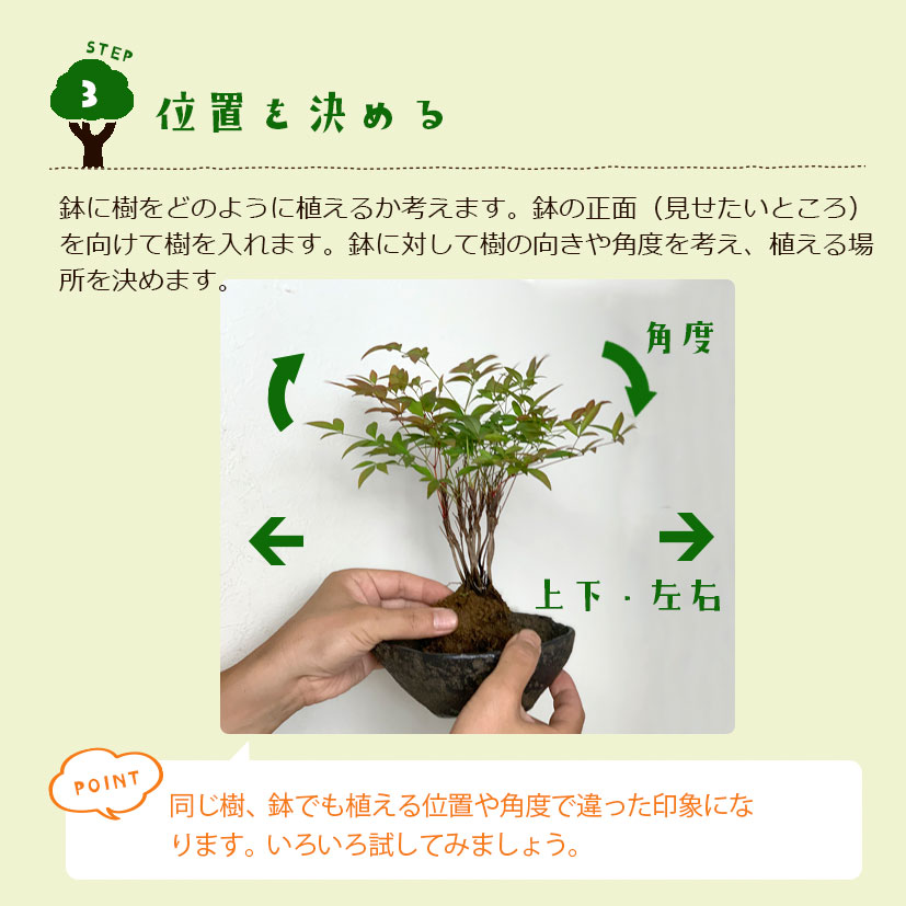 すぐ作れる 苗付き盆栽キット 【南天 (くらま鉢)】なんてん すぐ作れる 苗付き盆栽キット 【南天 (くらま鉢)】なんてん