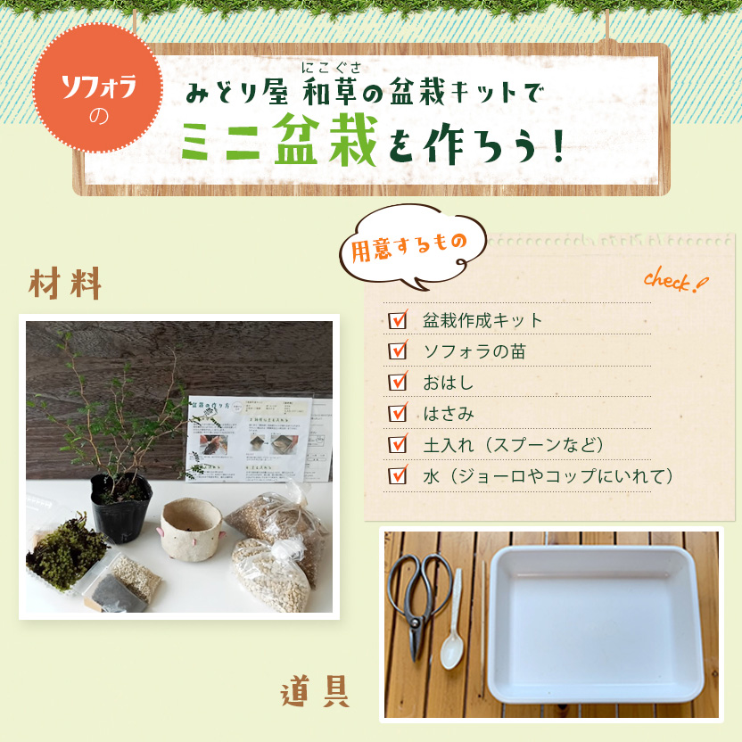 盆栽キット