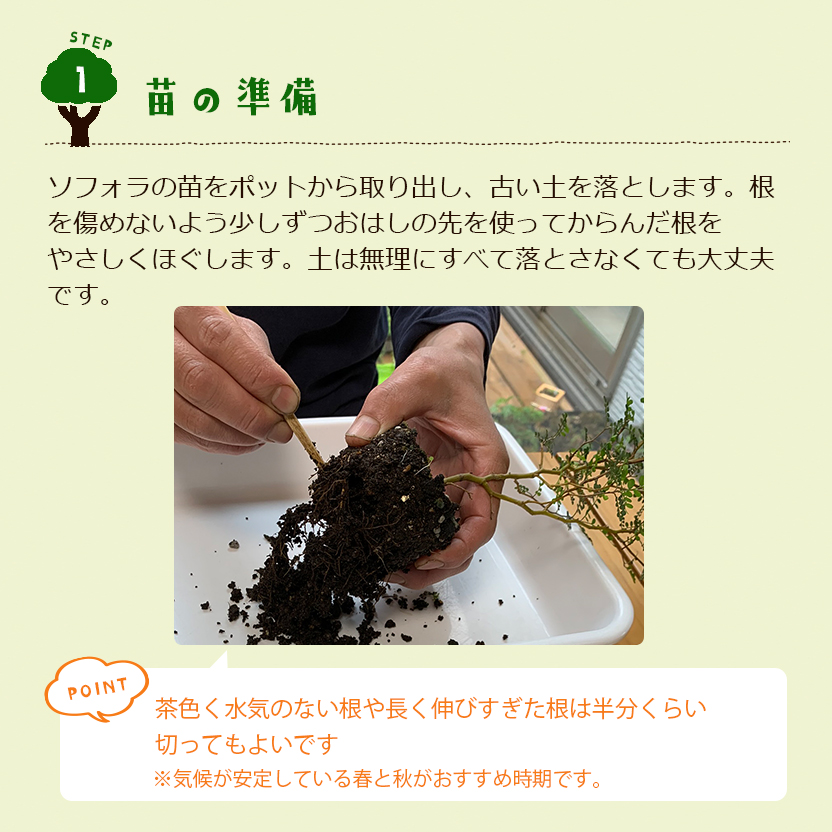 盆栽キット