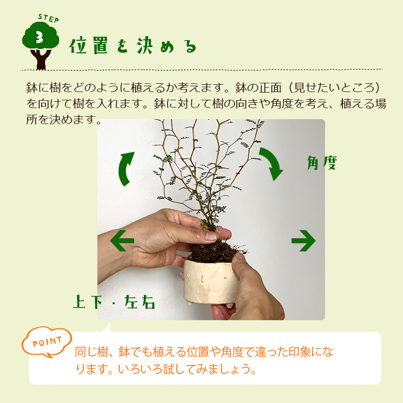 盆栽キット