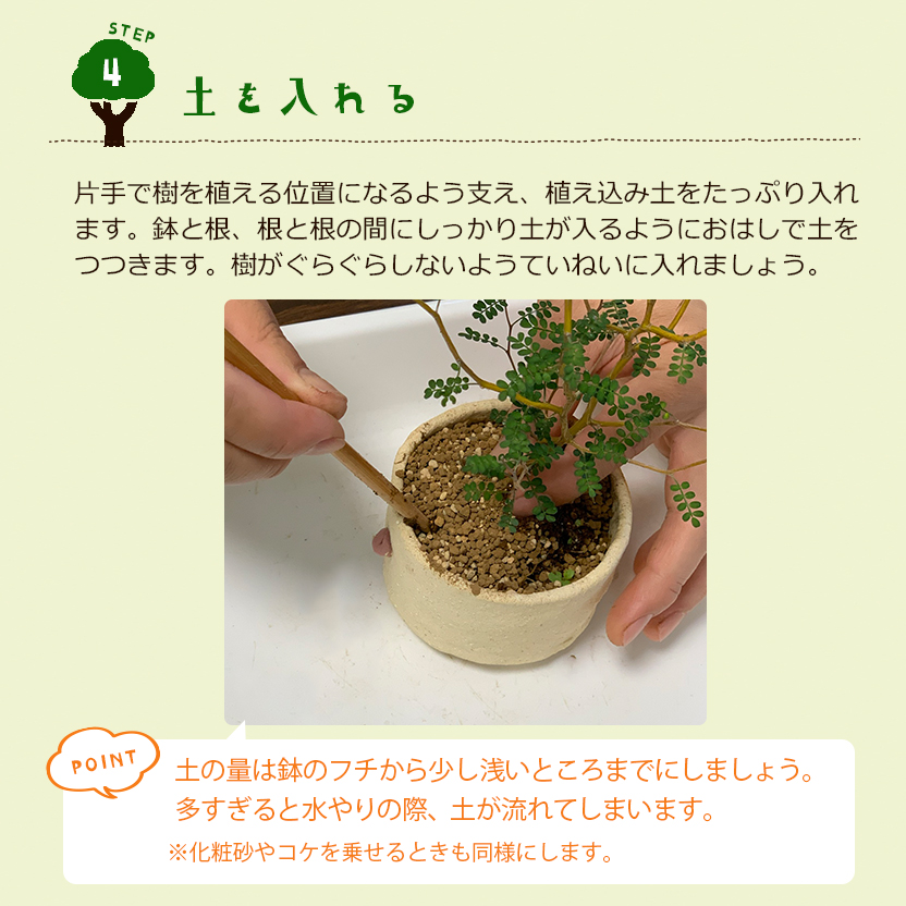 盆栽キット