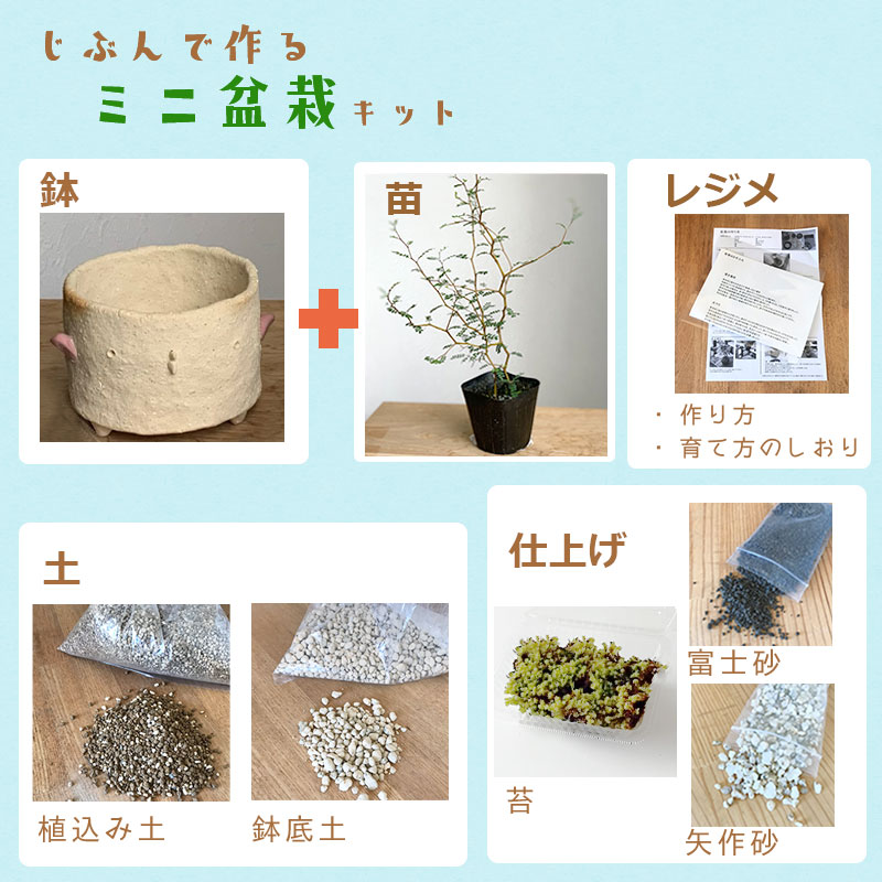 盆栽キット