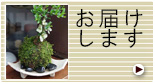 販売