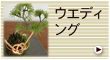 ウェディング