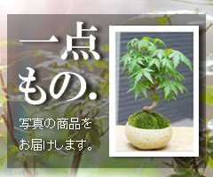 一点もの