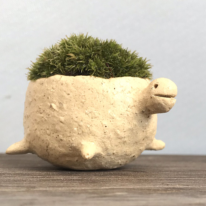 苔盆栽　亀