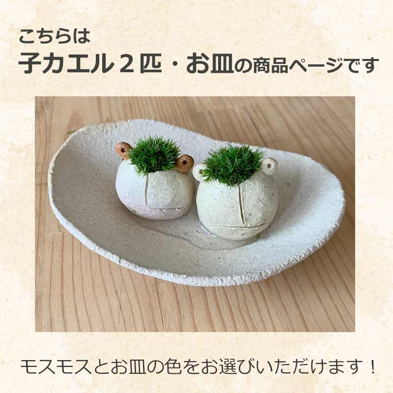 モスモスシリーズ 作家 真山茜氏【モス子カエル2匹（選べる色