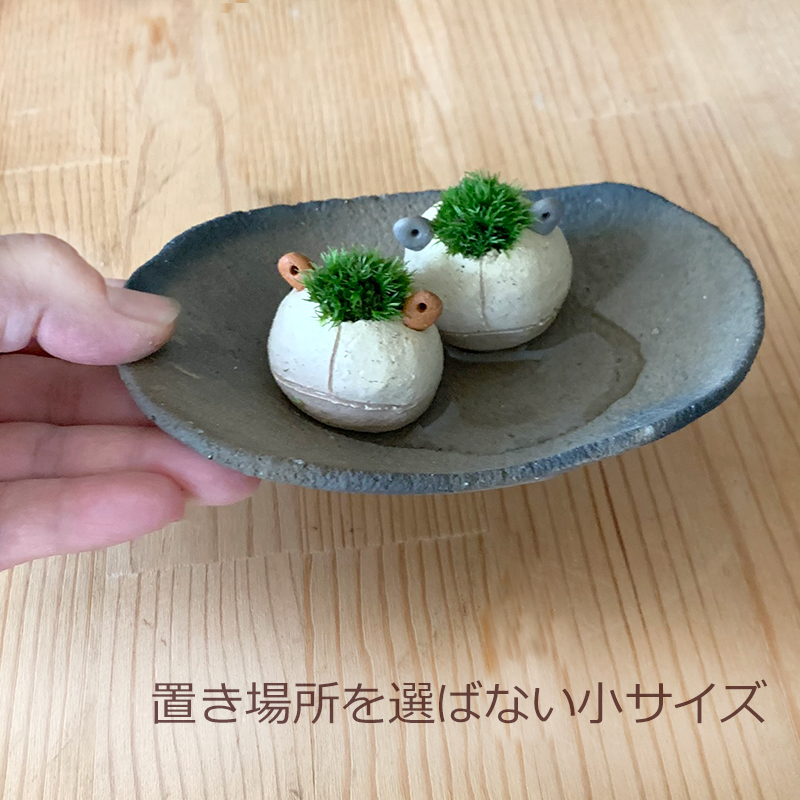 モスモスシリーズ 作家 真山茜氏【モス子カエル2匹（選べる色