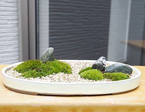 小さな世界で雄大な景色を【苔盆栽（こけぼんさい）和鉢】