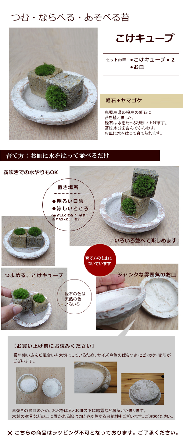 苔盆