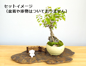 盆栽・苔玉受け皿