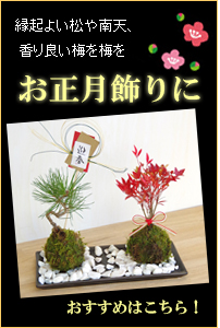 日本の心である盆栽。一番の魅力は、自然の風景を手のひらサイズで