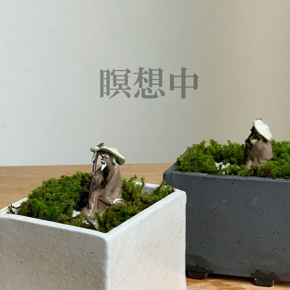 苔盆