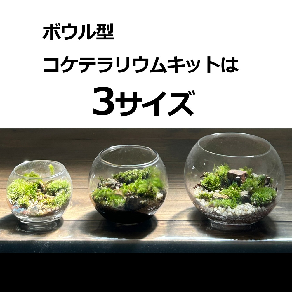 盆栽キット