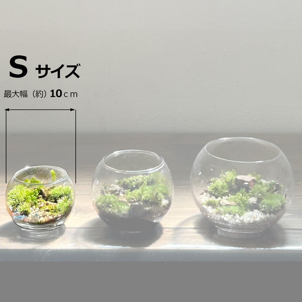 盆栽キット