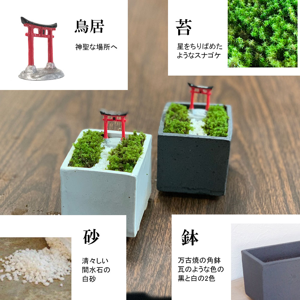 苔盆栽 【神域への入り口】万古焼創作角鉢 鳥居 神社 神様 苔