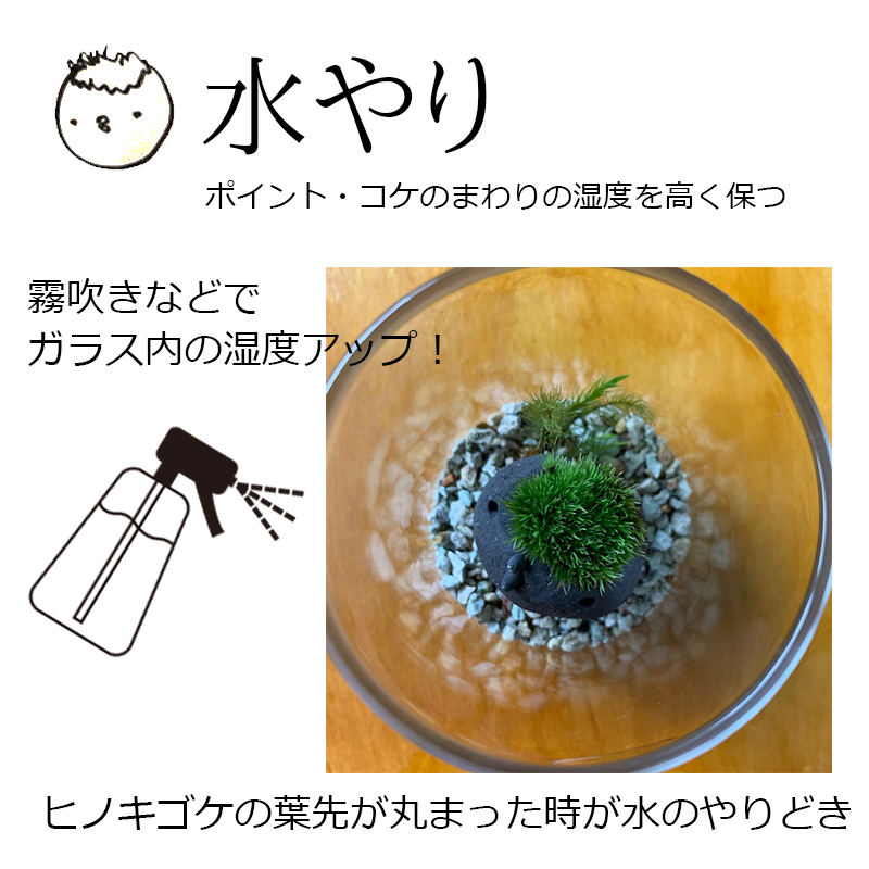 モストリ　真山茜