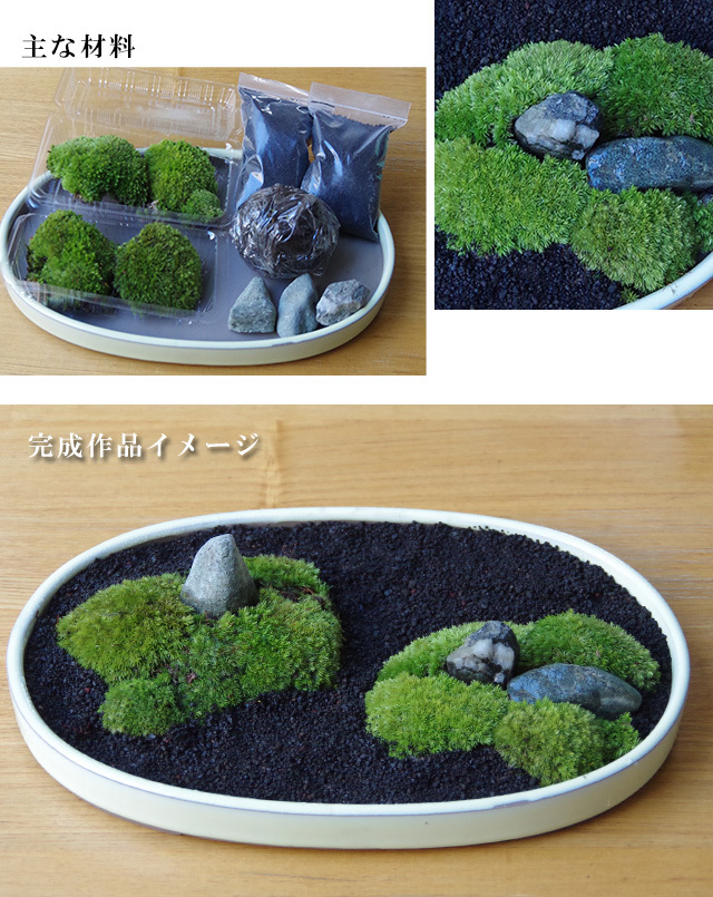苔盆栽富士砂キット