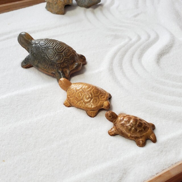 亀3兄弟