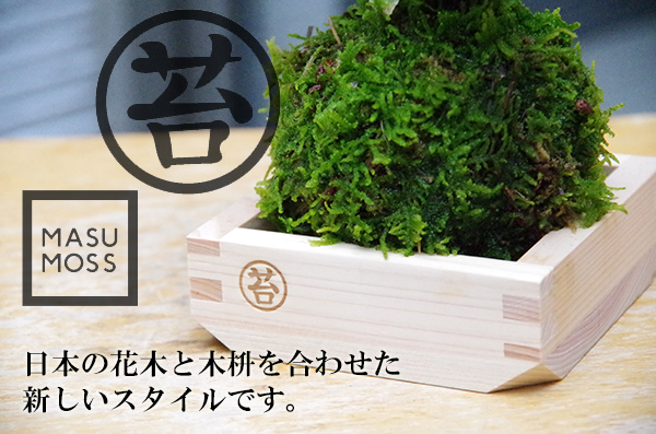 日本の美massmossg