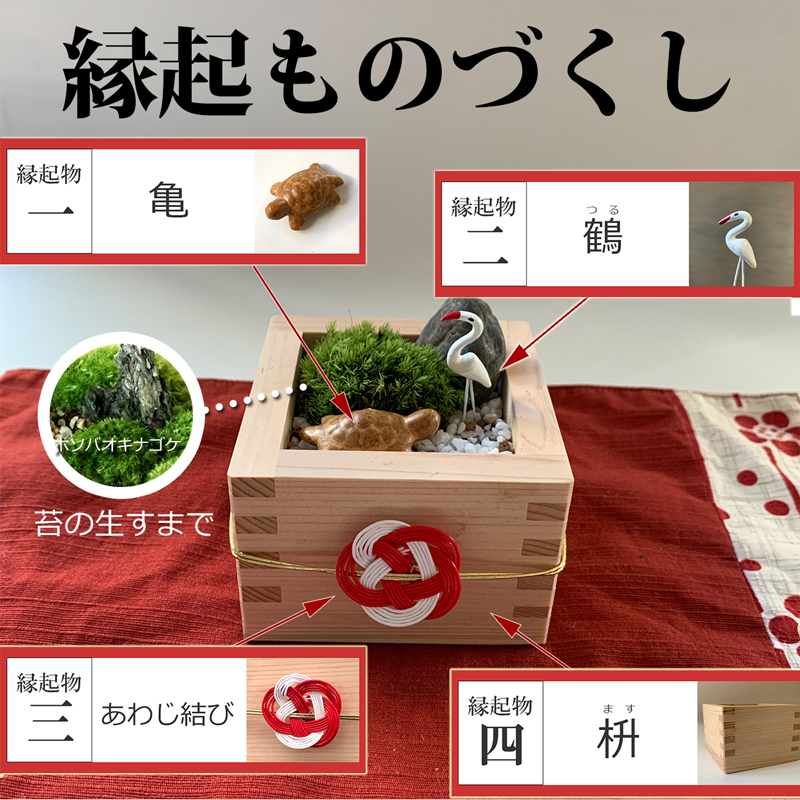 苔庭