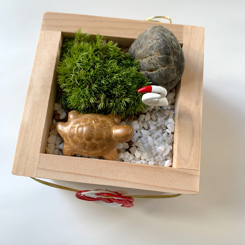 苔庭