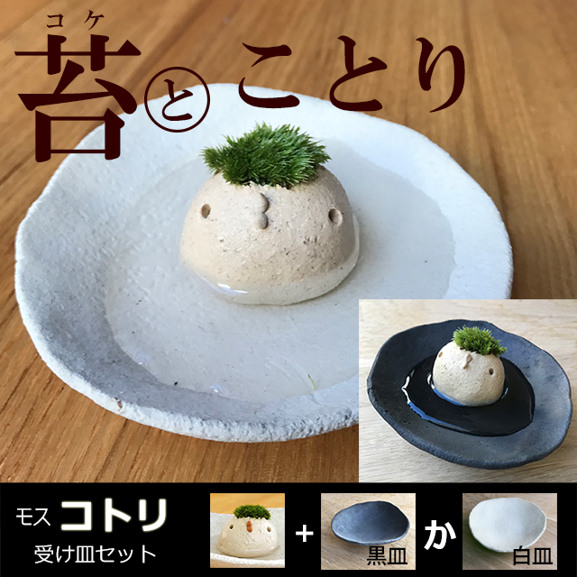 モスモスことり