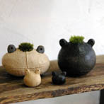 モスカエル・ちびカエル