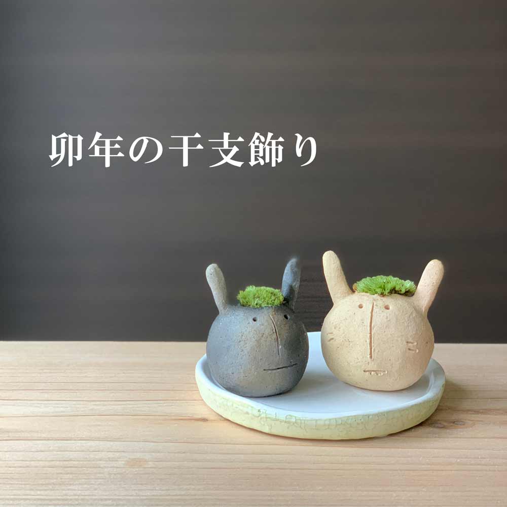 コケテラリウム モスモス