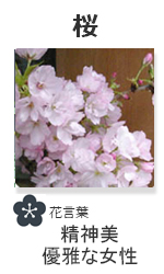 桜