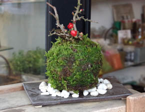 盆栽・苔玉飾り台