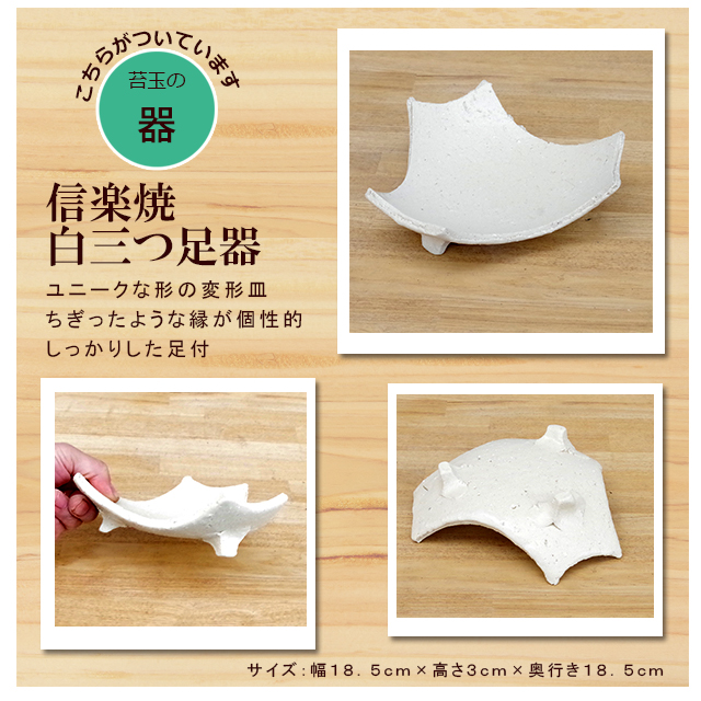 黒松の苔玉