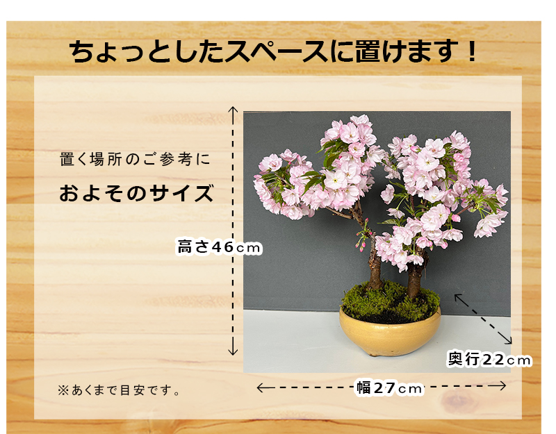 信楽焼