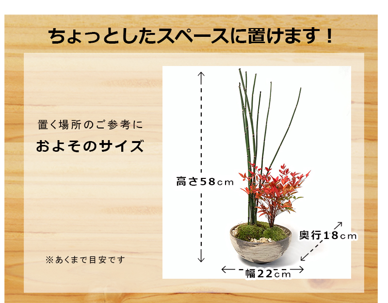 送料無料でお届け 可憐な寄せ植え盆栽 トクサ 南天の盆栽 刷毛目丸鉢 送料無料でお届け 可憐な寄せ植え盆栽 トクサ 南天の盆栽 刷毛目丸鉢