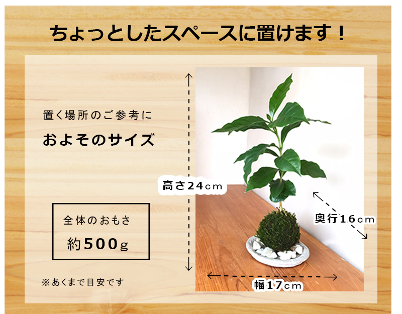 ナナカマド