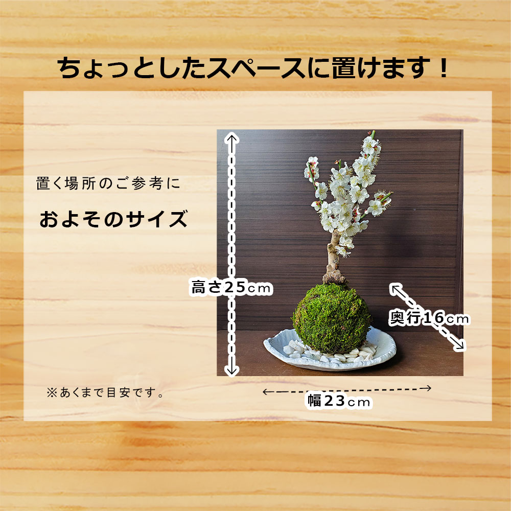 富士桜