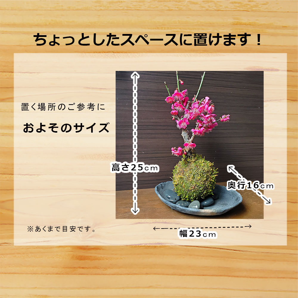 富士桜