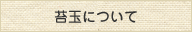 苔玉について