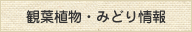 観葉植物・みどり情報