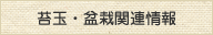 苔玉・盆栽関連情報